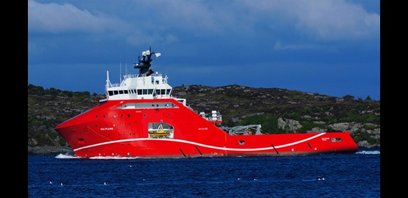 Saltfjord